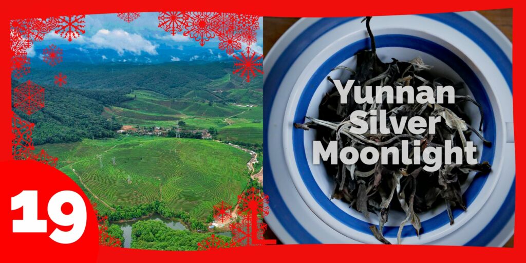 Yunnan silver moonlight