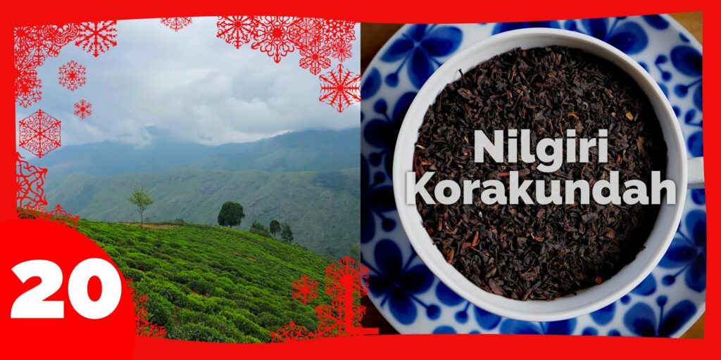 Lucka 20 Nilgiri korakundah