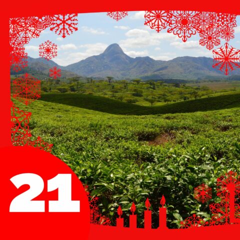 Moçam­bique Monte Metilille