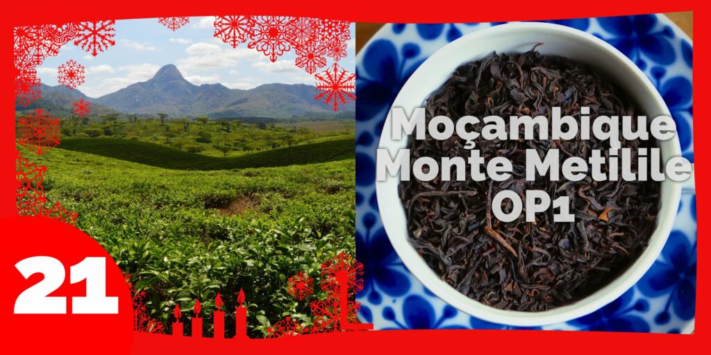 Moçam­bique monte metilille