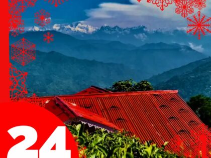 Ekologiskt te med rena, äkta smaker Lucka 24