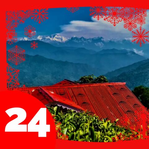 Darjeeling Risheehat FTGFOP1 Autumn Flush