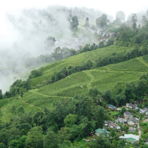 Darjeeling