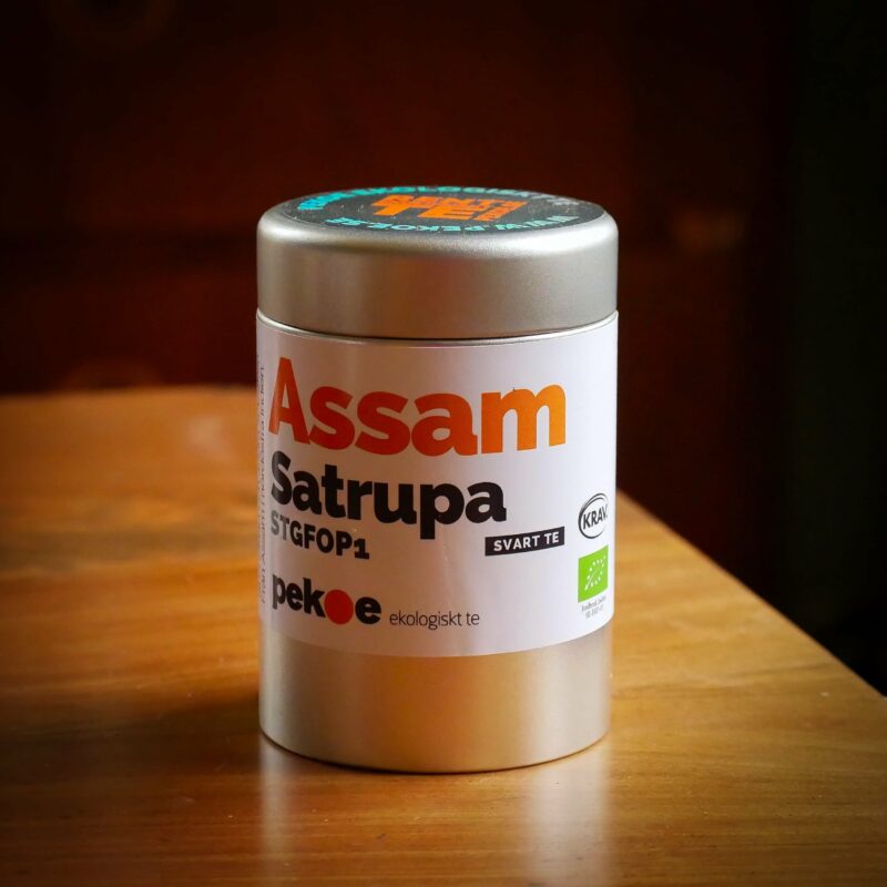Assam Satrupa STGFOP1 teburk