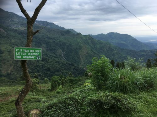 Darjeeling Makaibari: Skylt Don't Litter! Foto: Anna Daneberga.