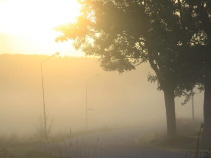 Leverans med tidningsbudet