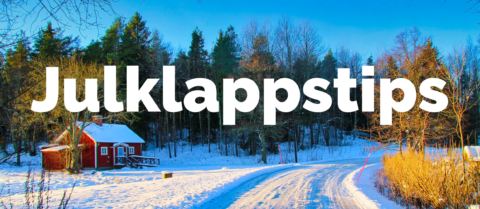 Julklappstips