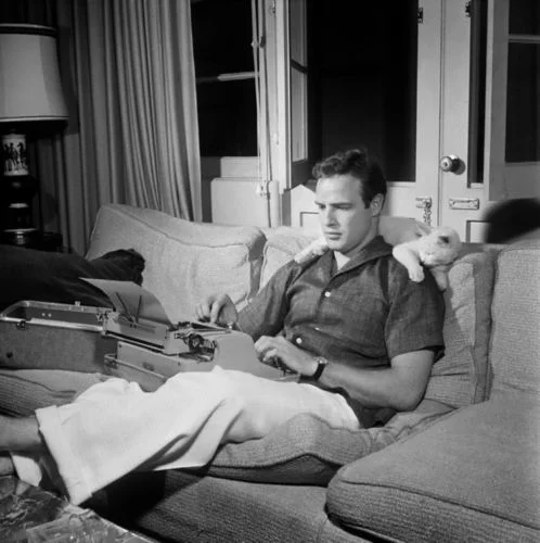 Marlonbrando jobbar hemifran