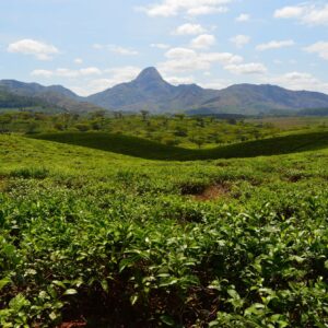 Moçambique