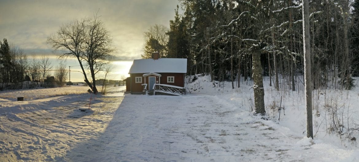 Vinterpanorama Bastun Pekoe ekologiskt te