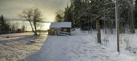 Vinterpanorama Bastun Pekoe ekologiskt te