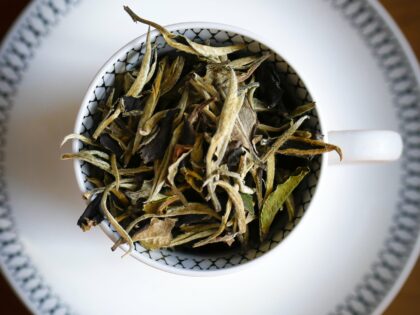 Ekologiskt te med rena, äkta smaker Vanliga frågor om te